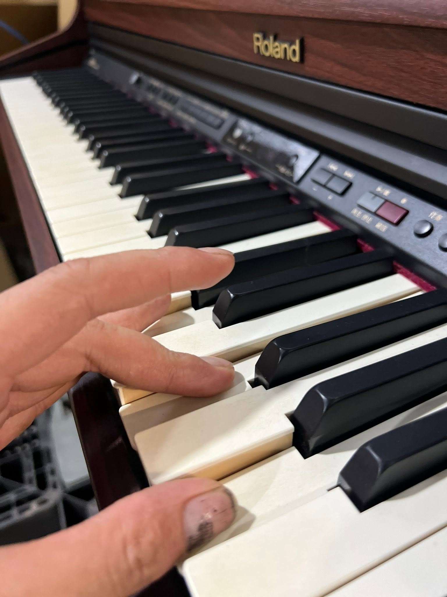 Đàn Piano Điện Roland HP205GP