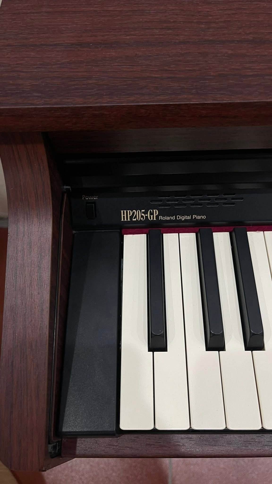 Đàn Piano Điện Roland HP205GP