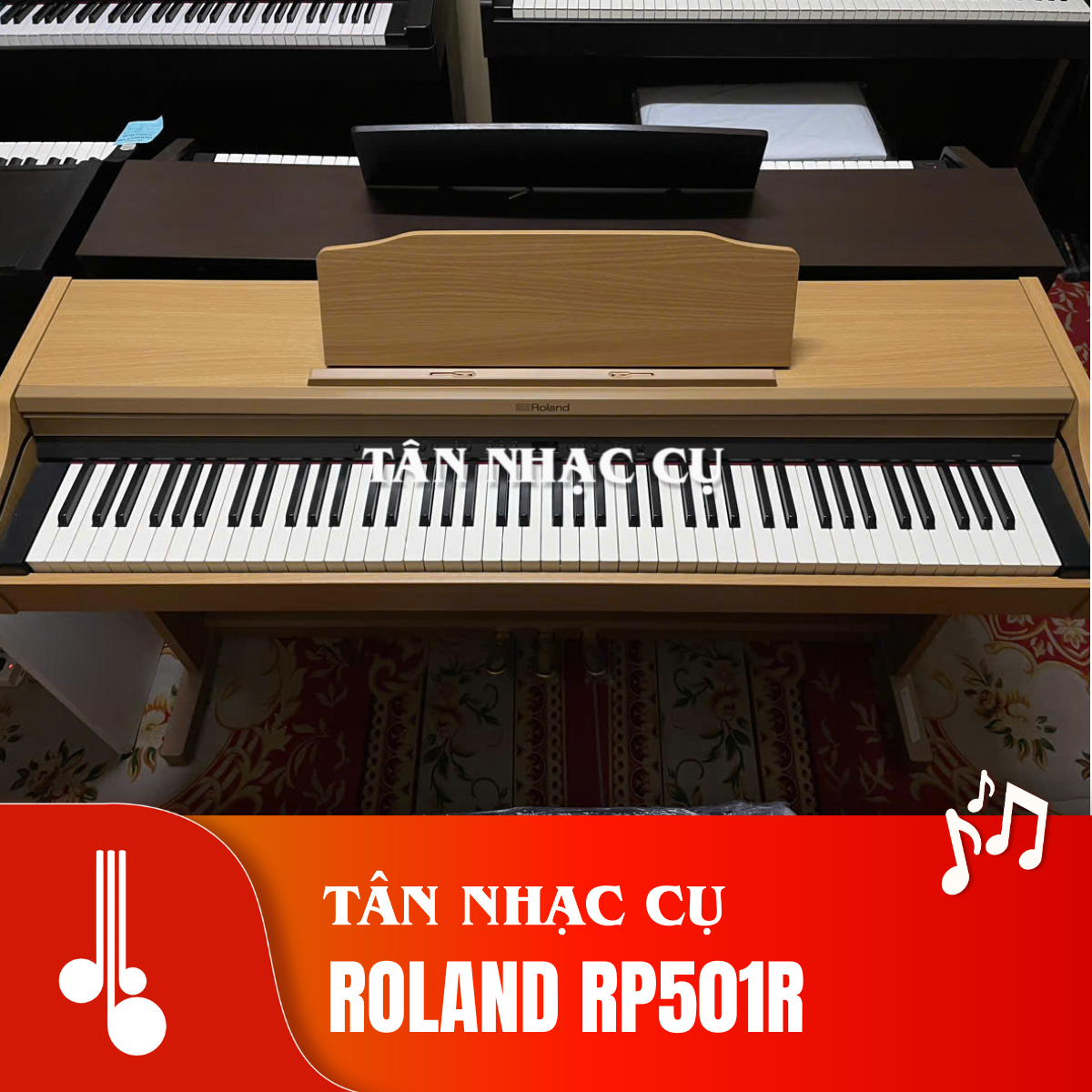 Roland RP501