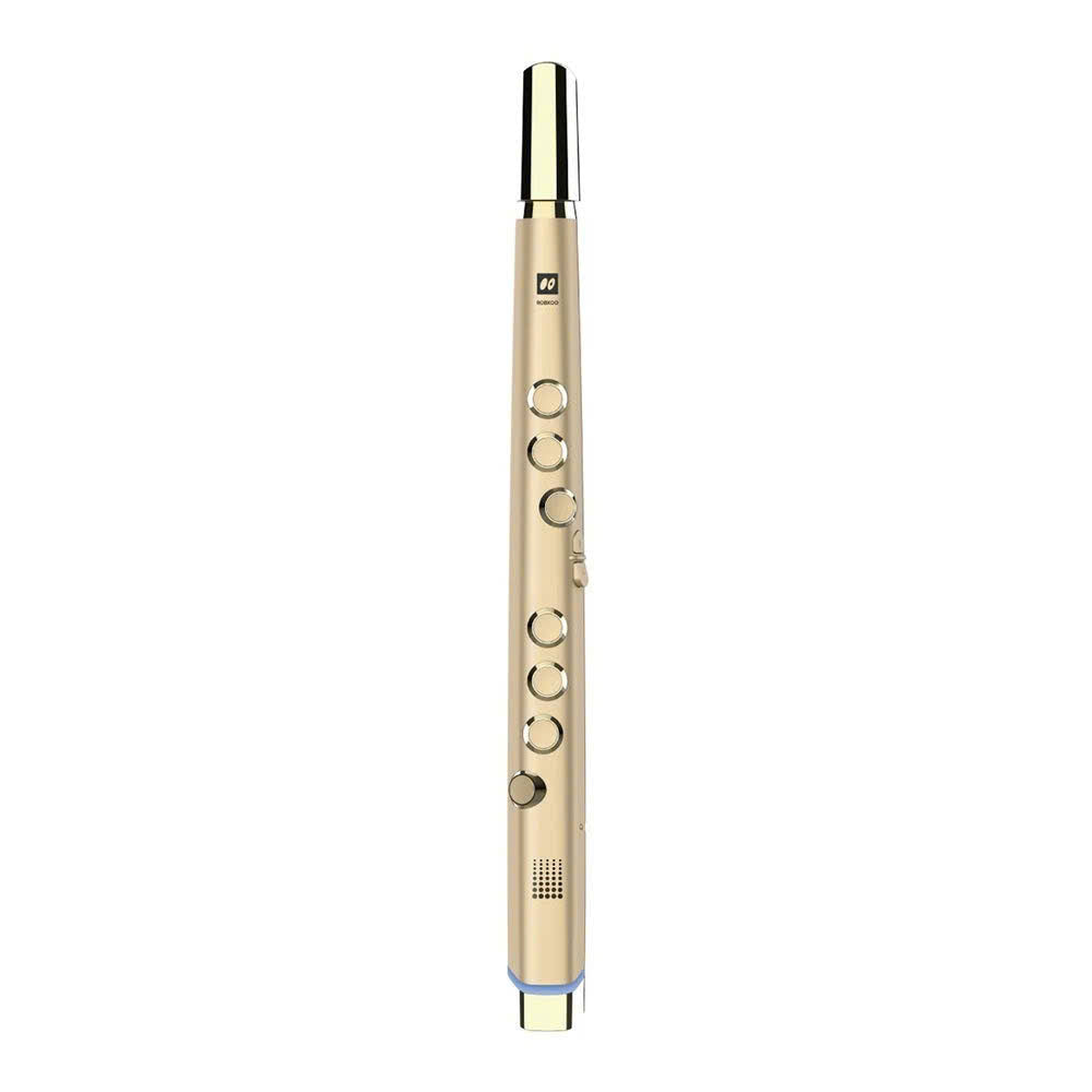 Sáo Điện Robkoo Clarii Mini V2.2