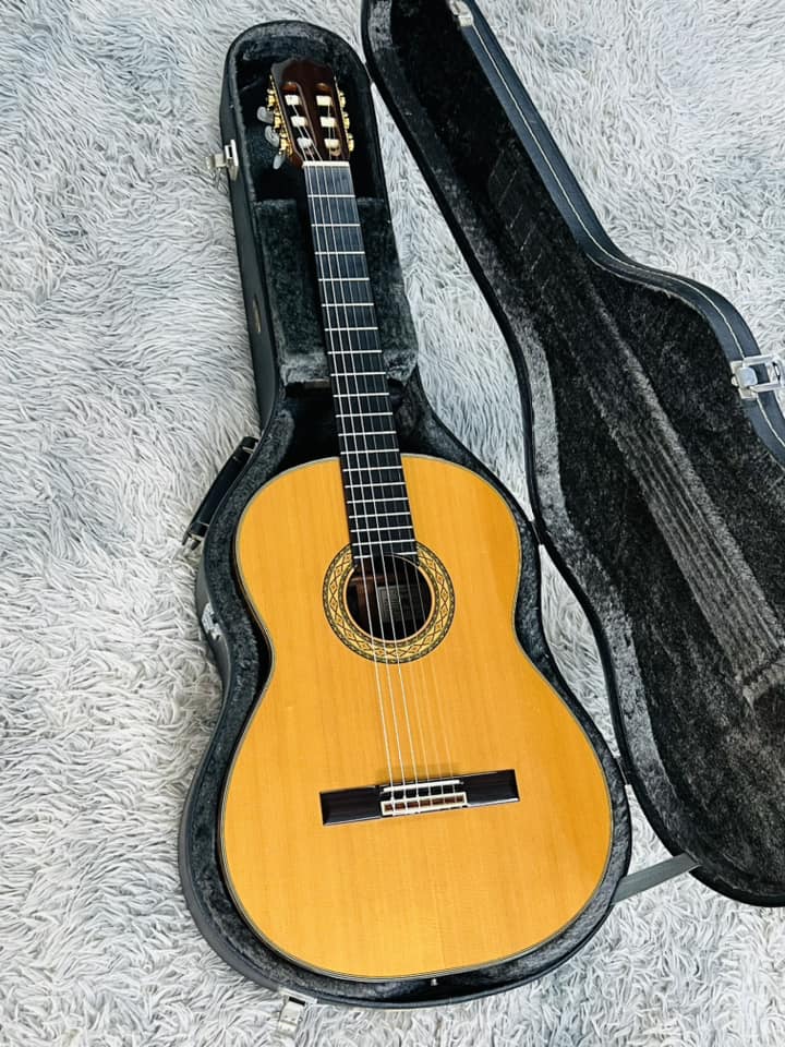Đàn Guitar Classic Takamine PT310