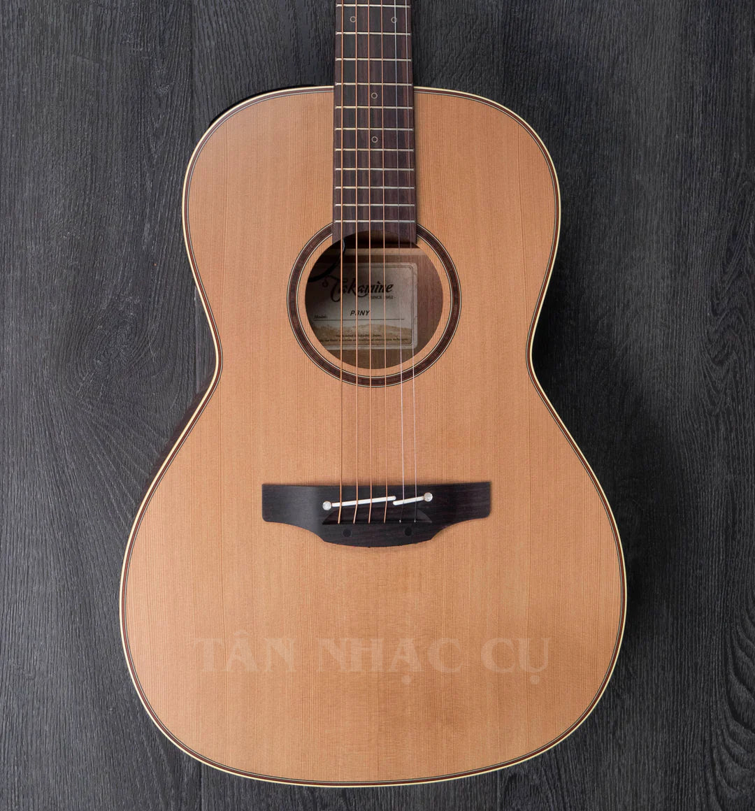 Takamine P3NY Pro Series New Yorker