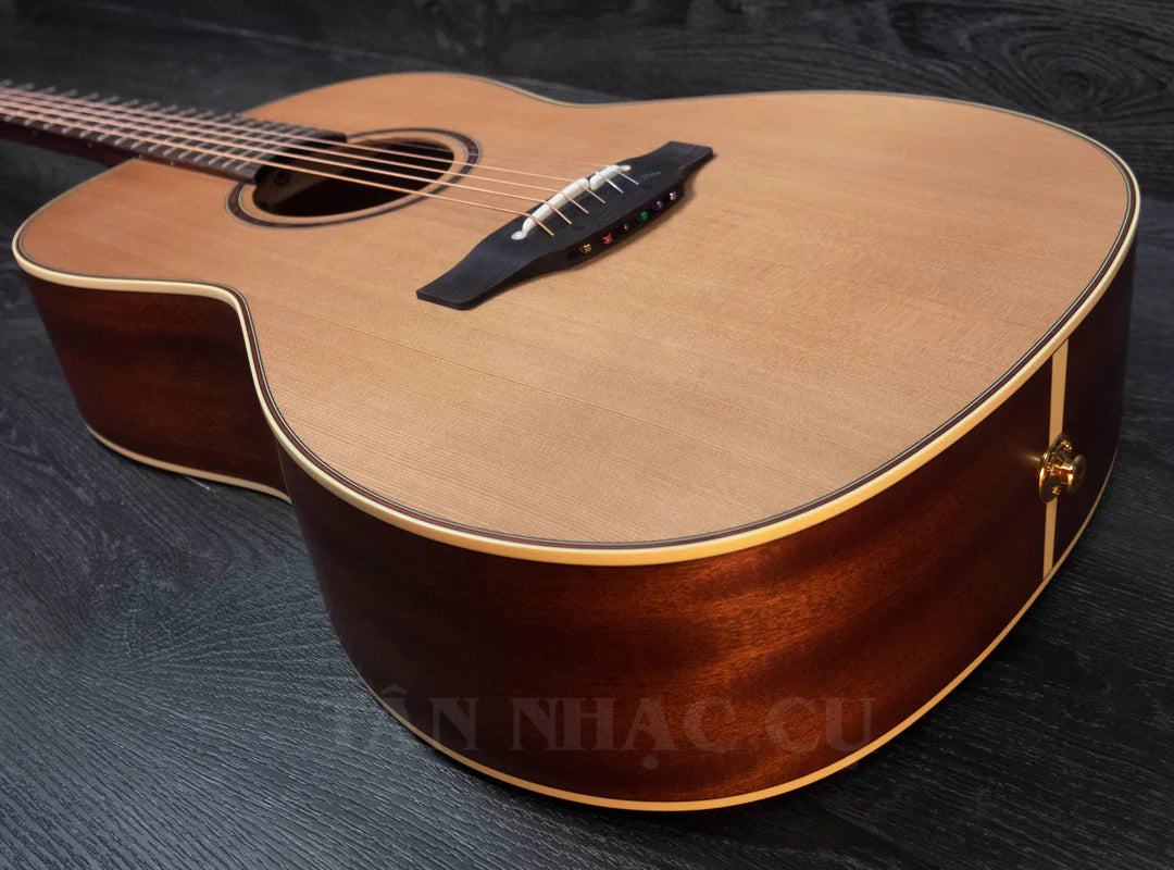 Takamine P3NY Pro Series New Yorker