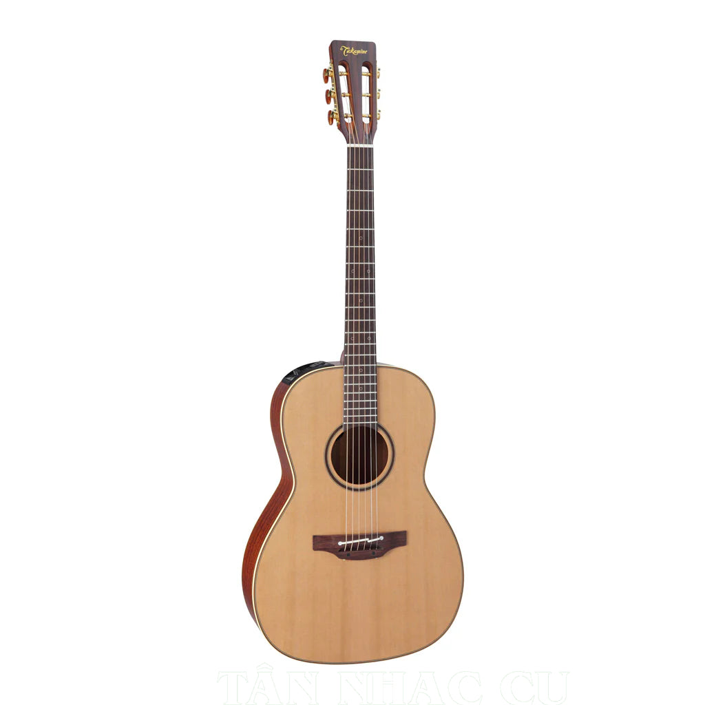 Takamine P3NY Pro Series New Yorker