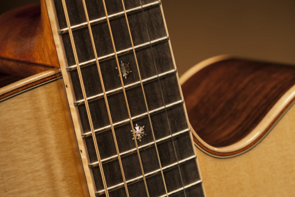 Đàn Guitar Takamine P7NC, Acoustic