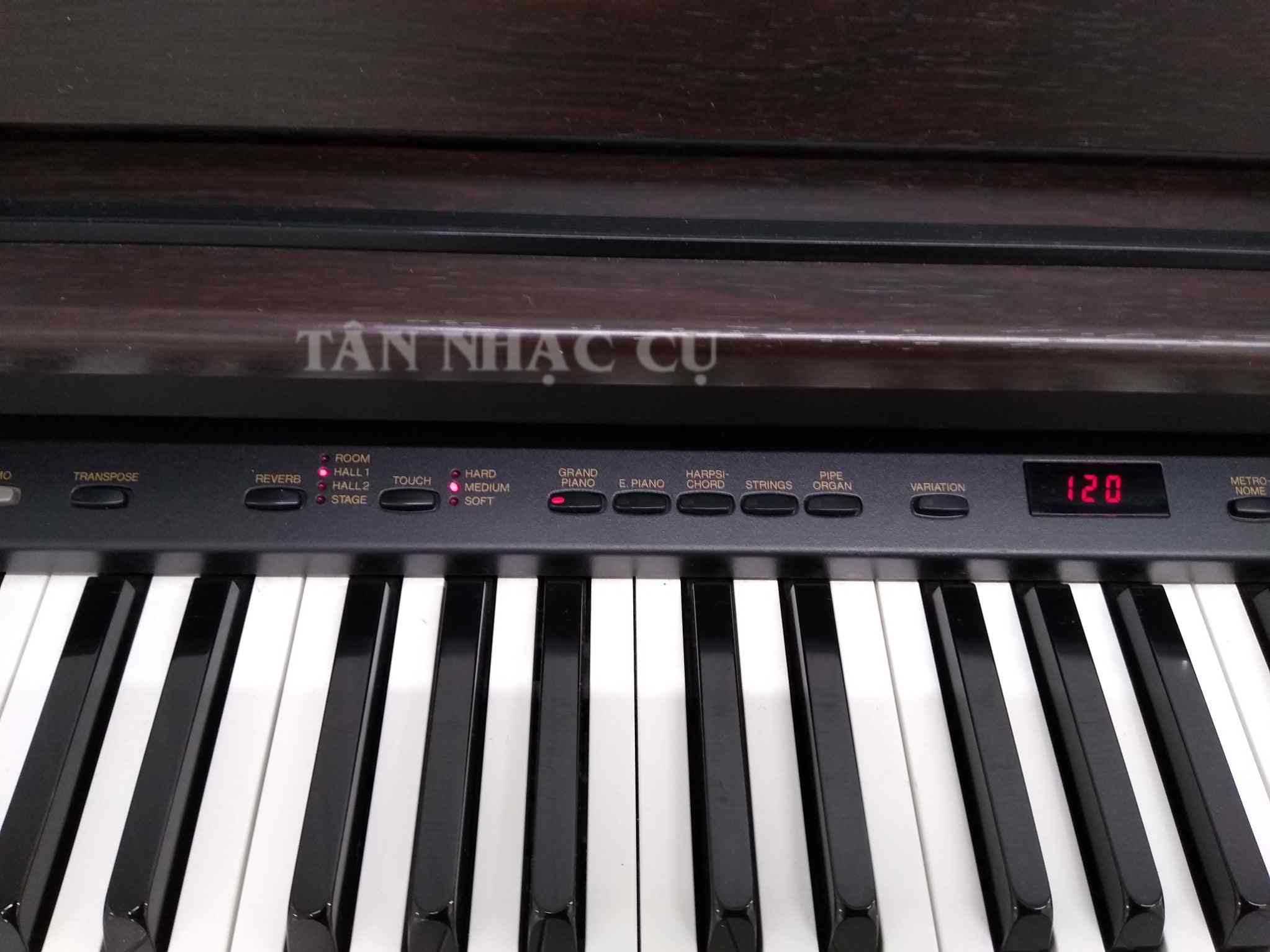 Yamaha YDP101