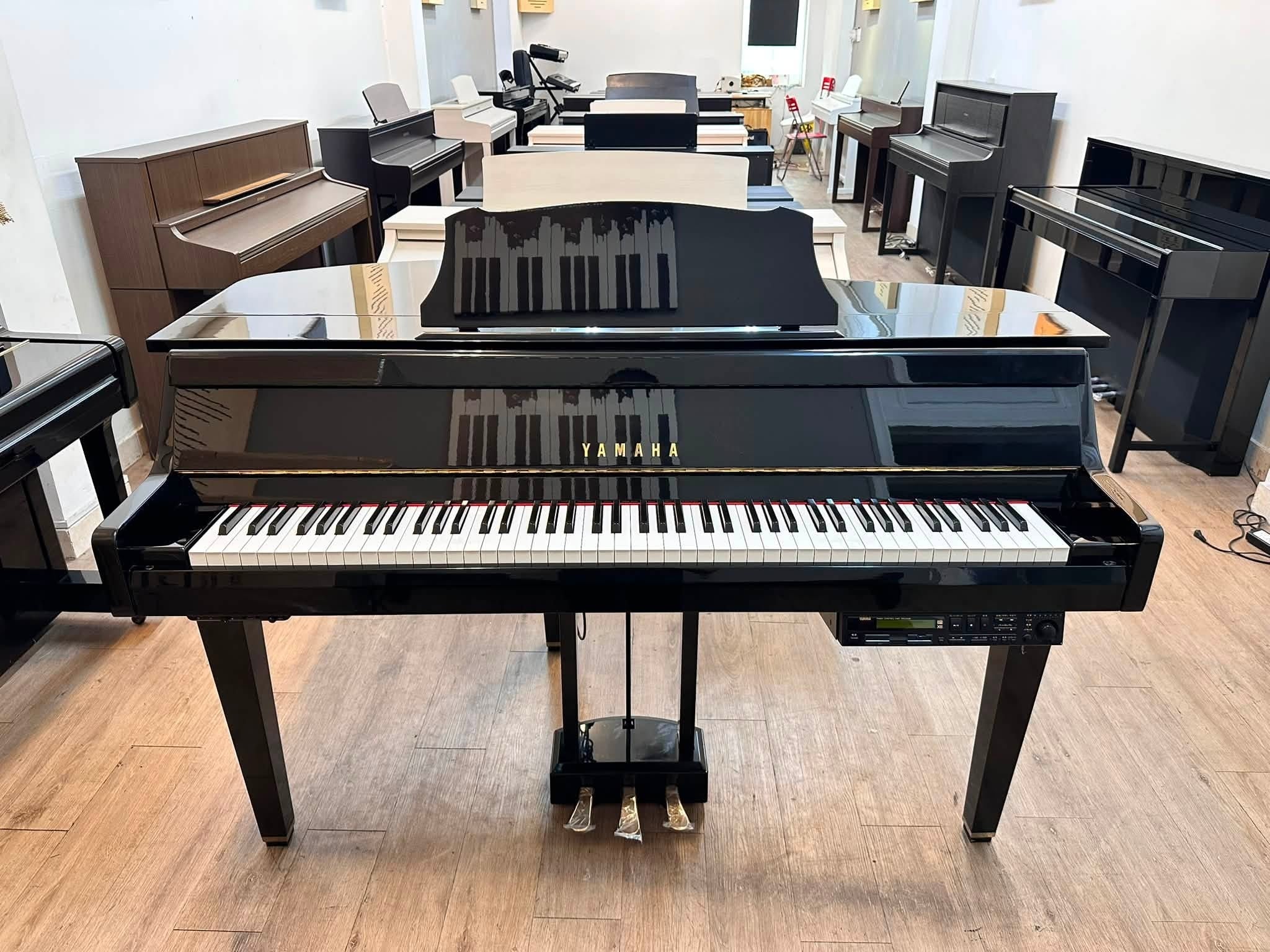 Đàn Piano Điện Yamaha DGP2XG