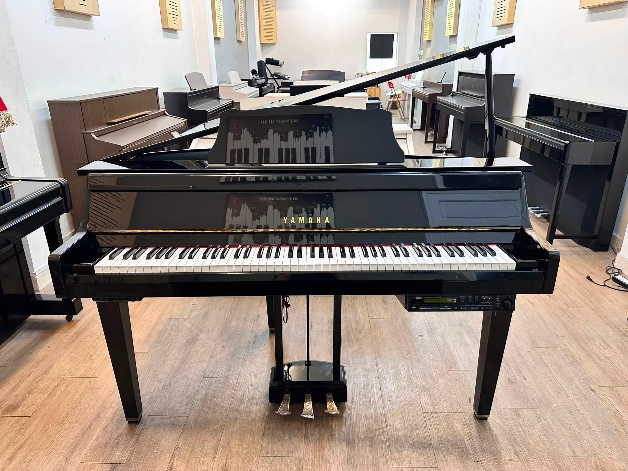 Đàn Piano Điện Yamaha DGP2XG