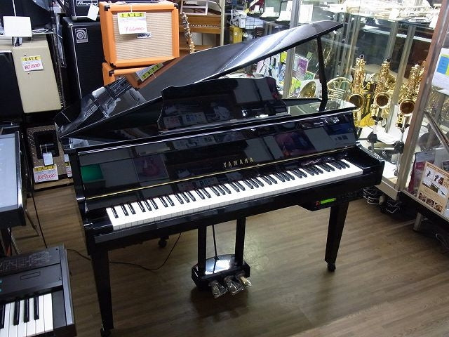 Đàn Piano Điện Yamaha DGP2XG