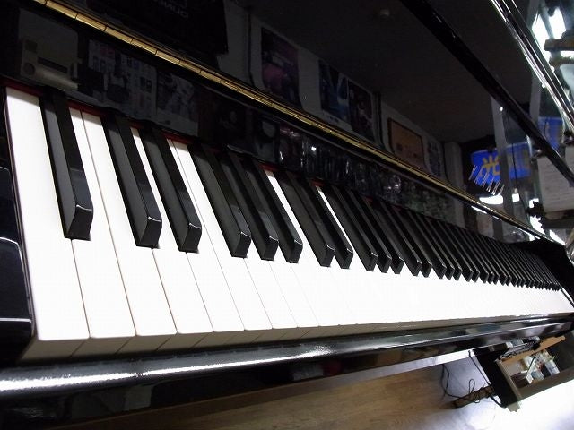Đàn Piano Điện Yamaha DGP2XG