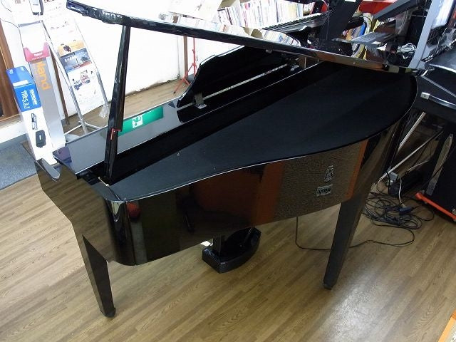 Đàn Piano Điện Yamaha DGP2XG
