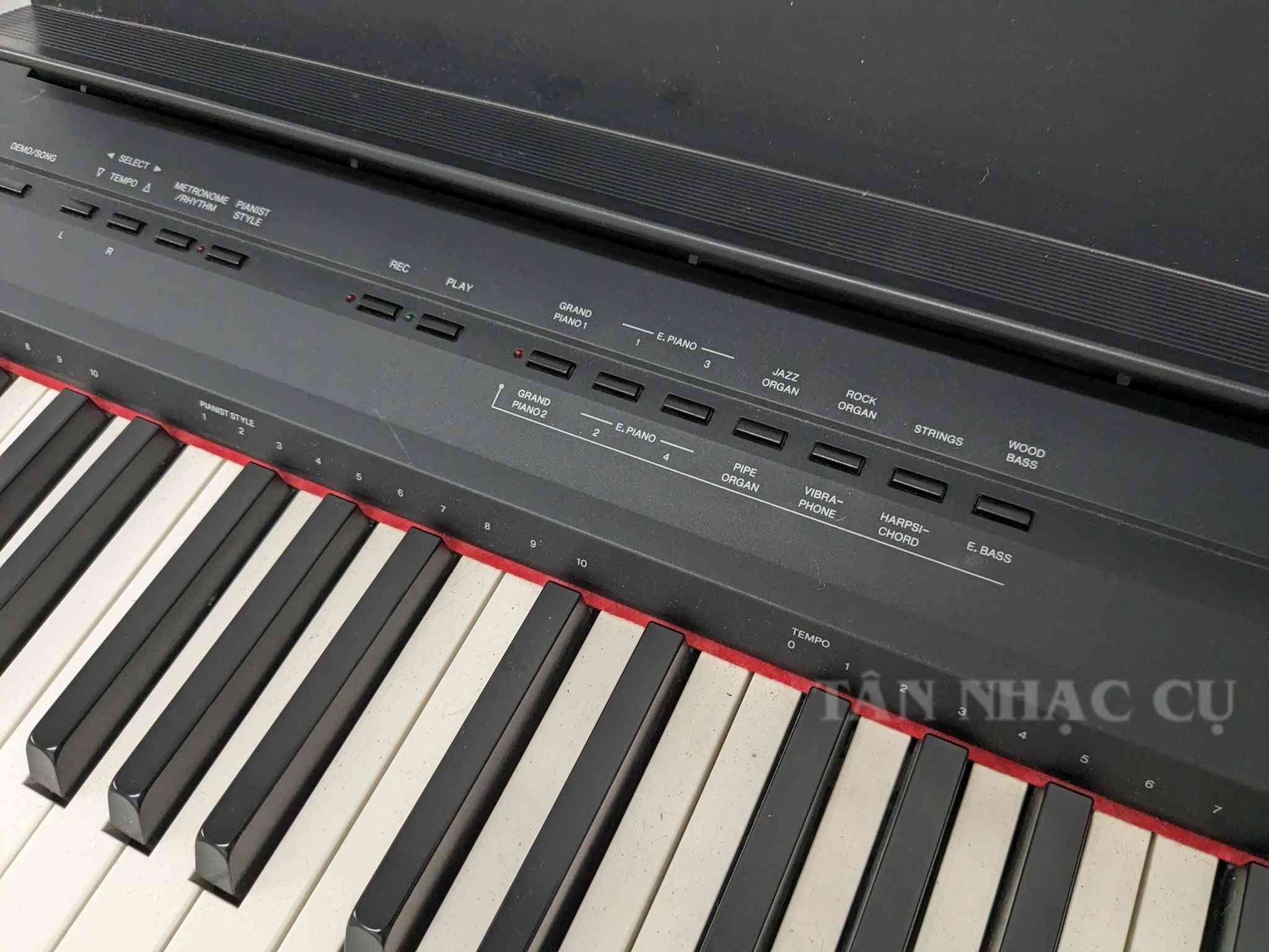 Yamaha P105