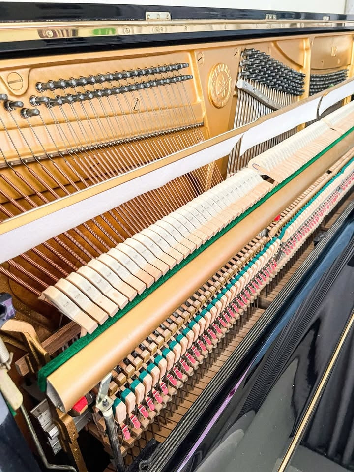 Đàn Piano Cơ Upright Yamaha U2M