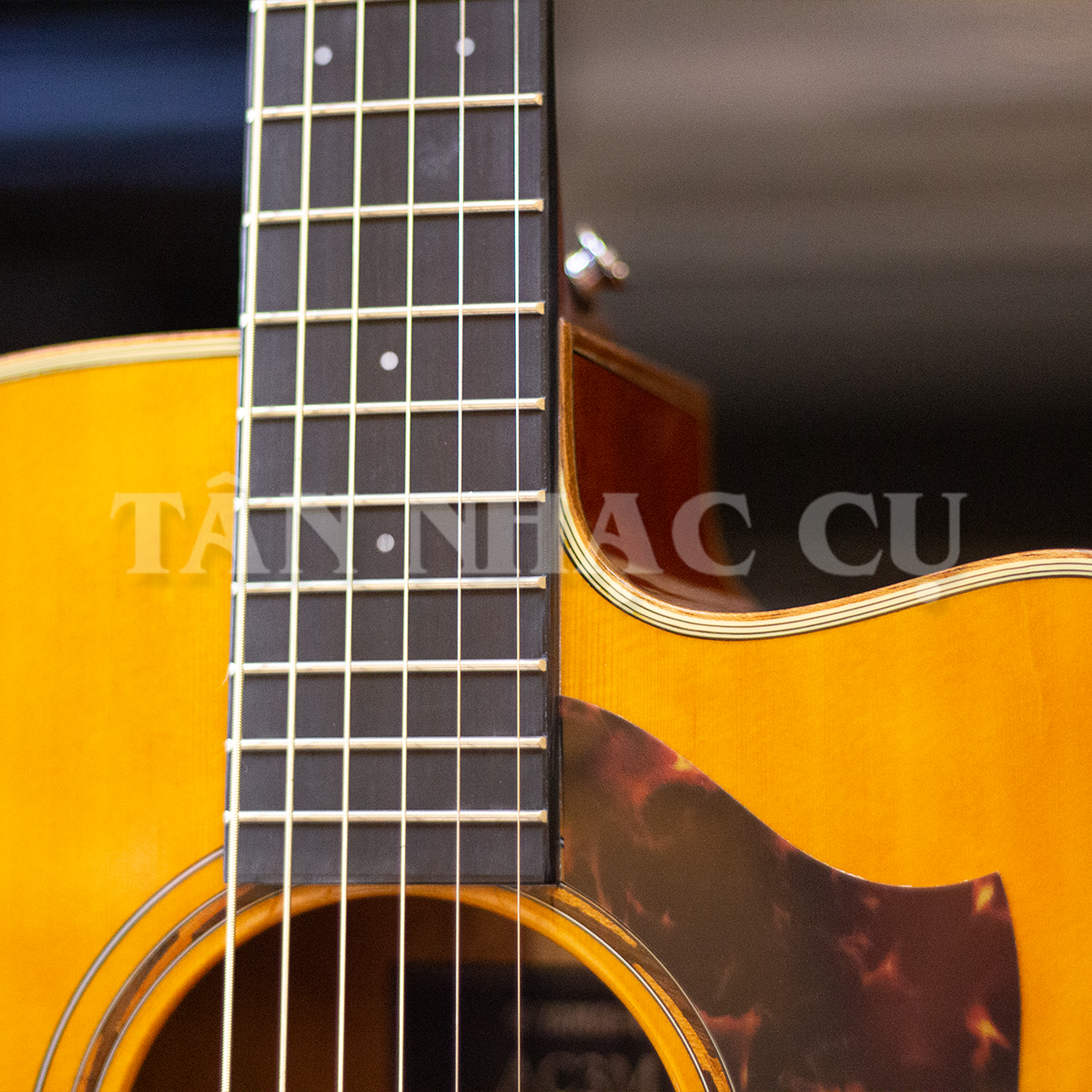 Yamaha AC3M