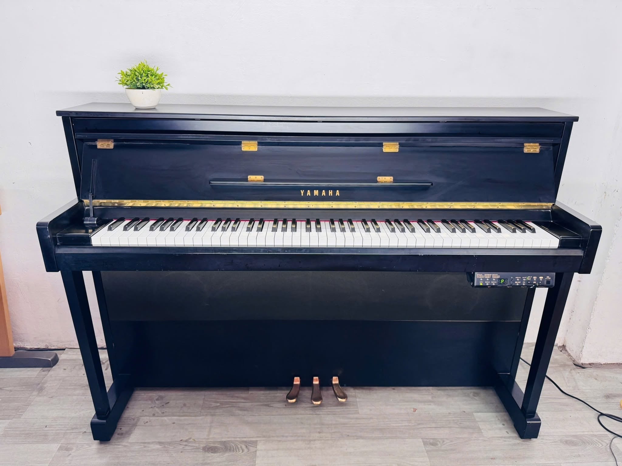 Yamaha DUP20 Black
