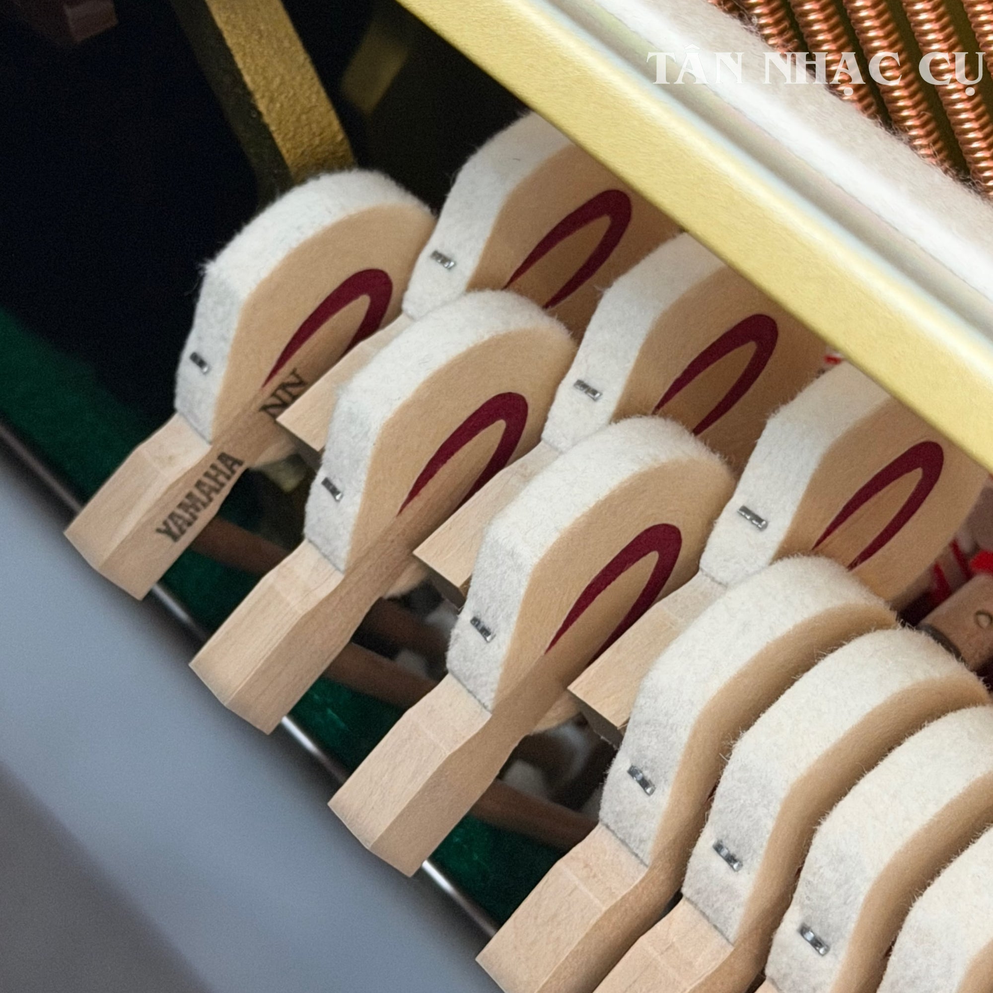 Chụp các búa đàn piano cơ YAMAHA U3