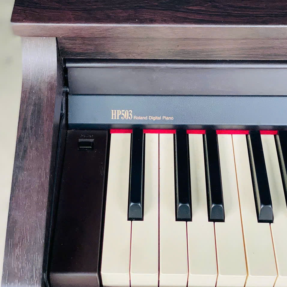 Roland HP503