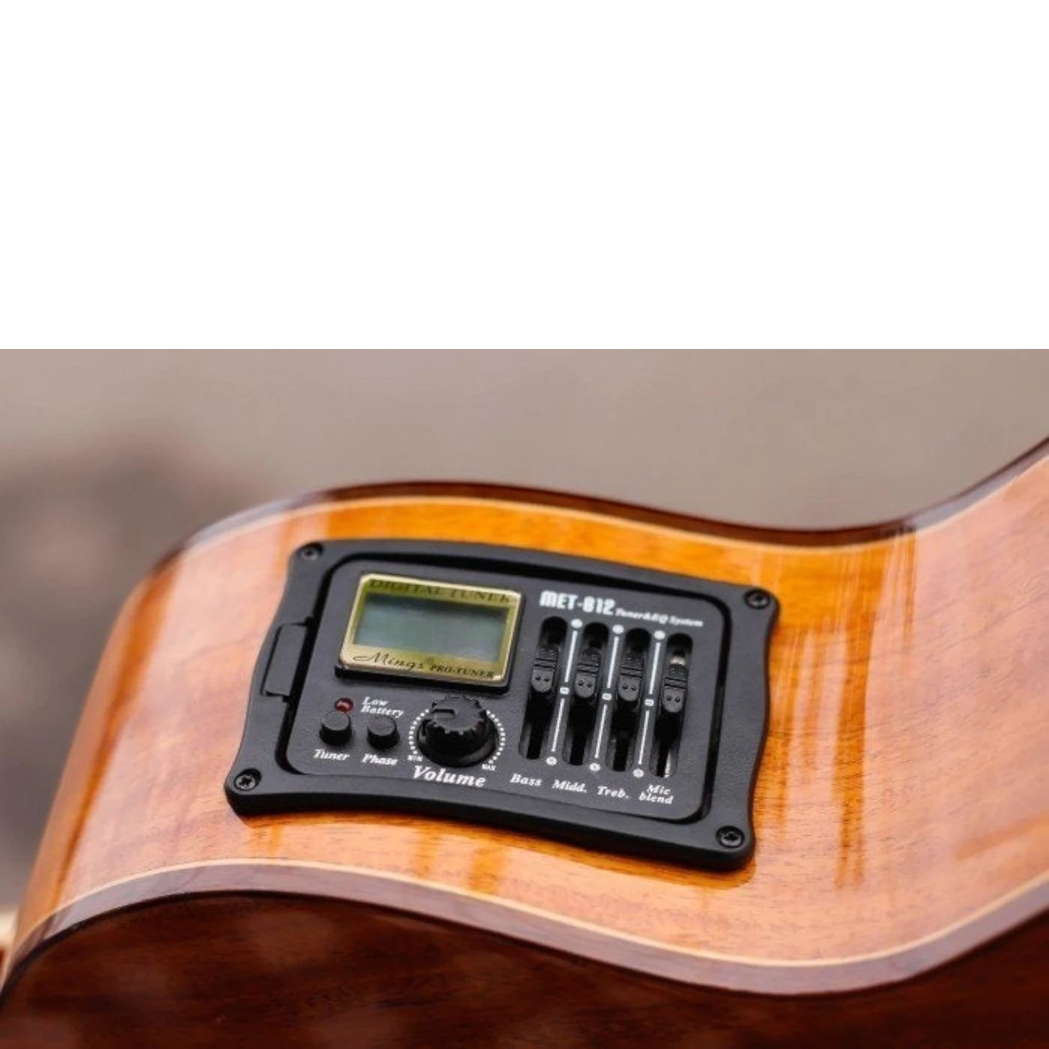 Guitar Equalizer METB12