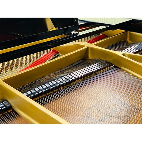 Đàn Grand Piano Yamaha C7B