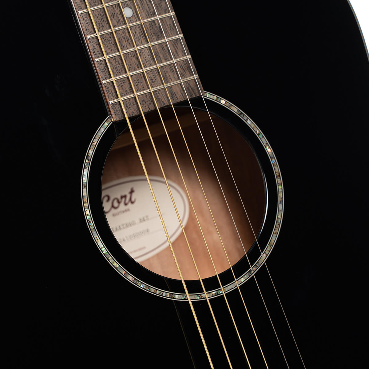 Đàn Guitar Acoustic Cort Earth60, Black Gloss
