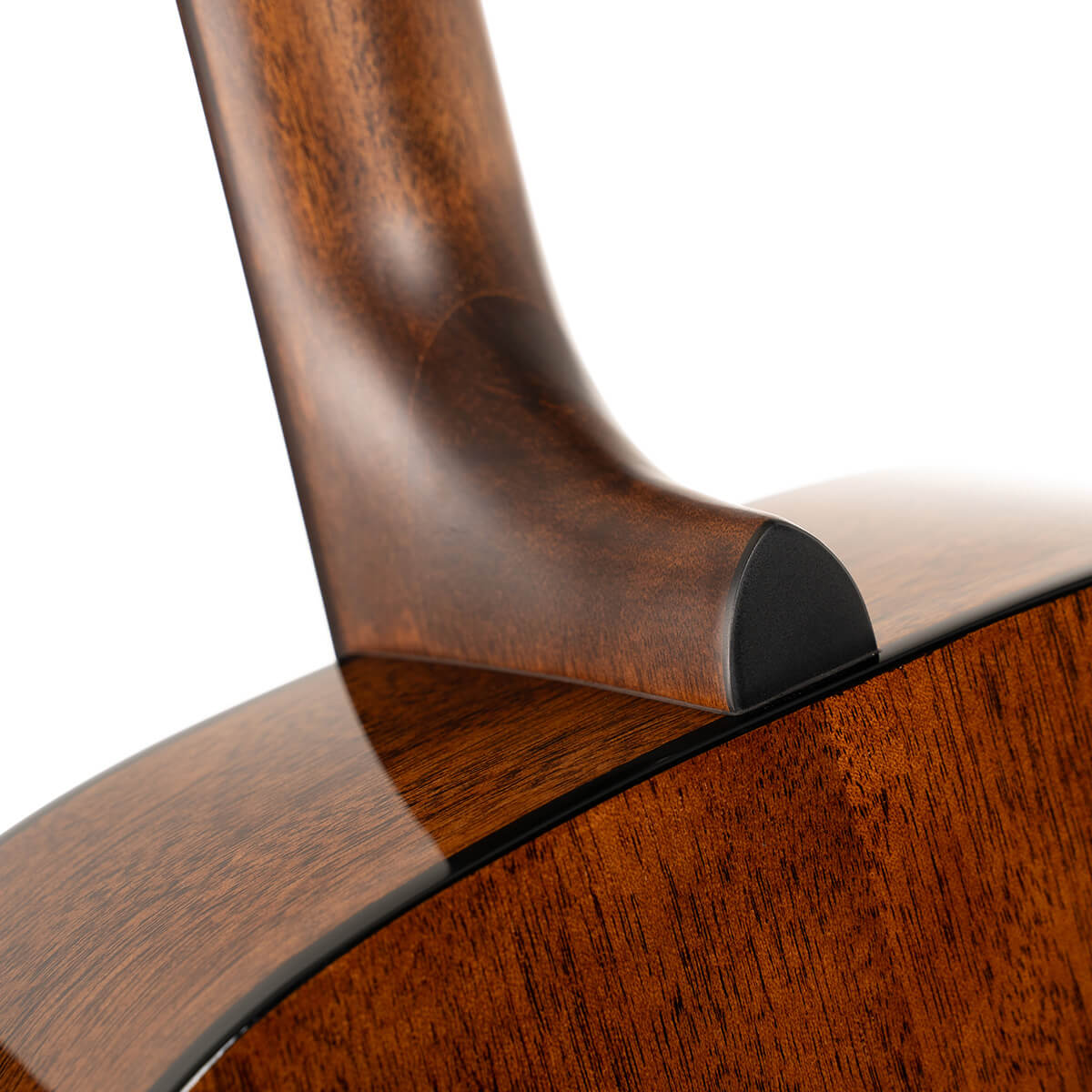 Đàn Guitar Acoustic Cort Earth60, Natural Gloss