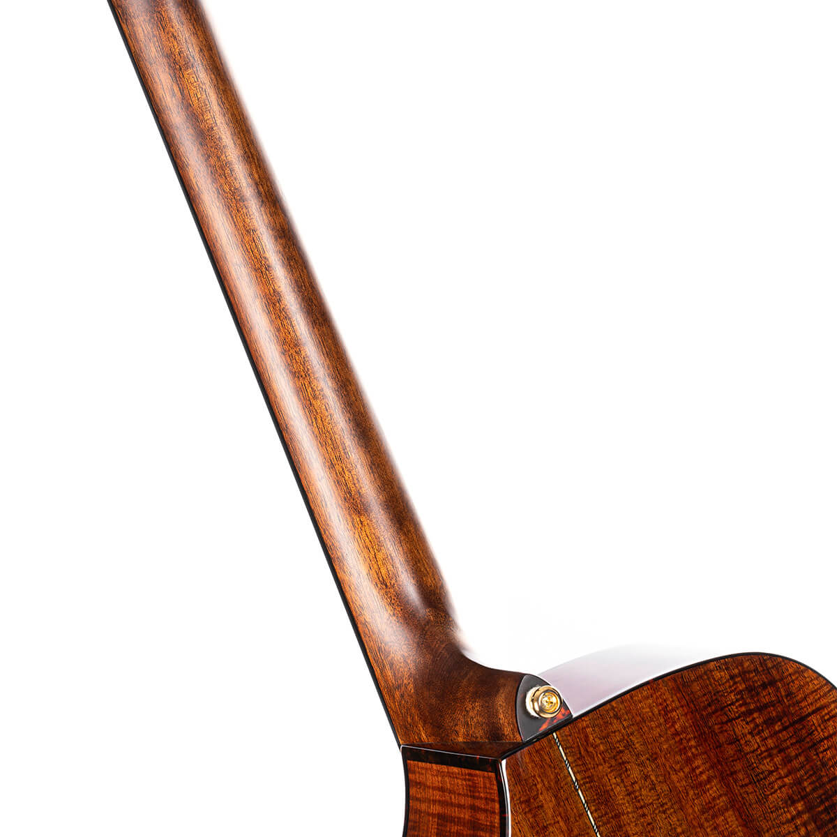 Đàn Guitar Acoustic Cort LUXE II