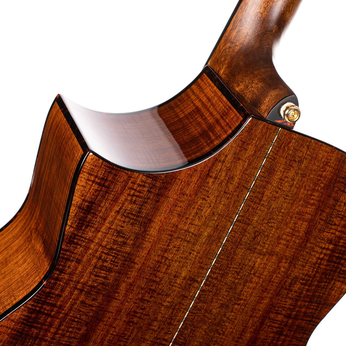 Đàn Guitar Acoustic Cort LUXE II