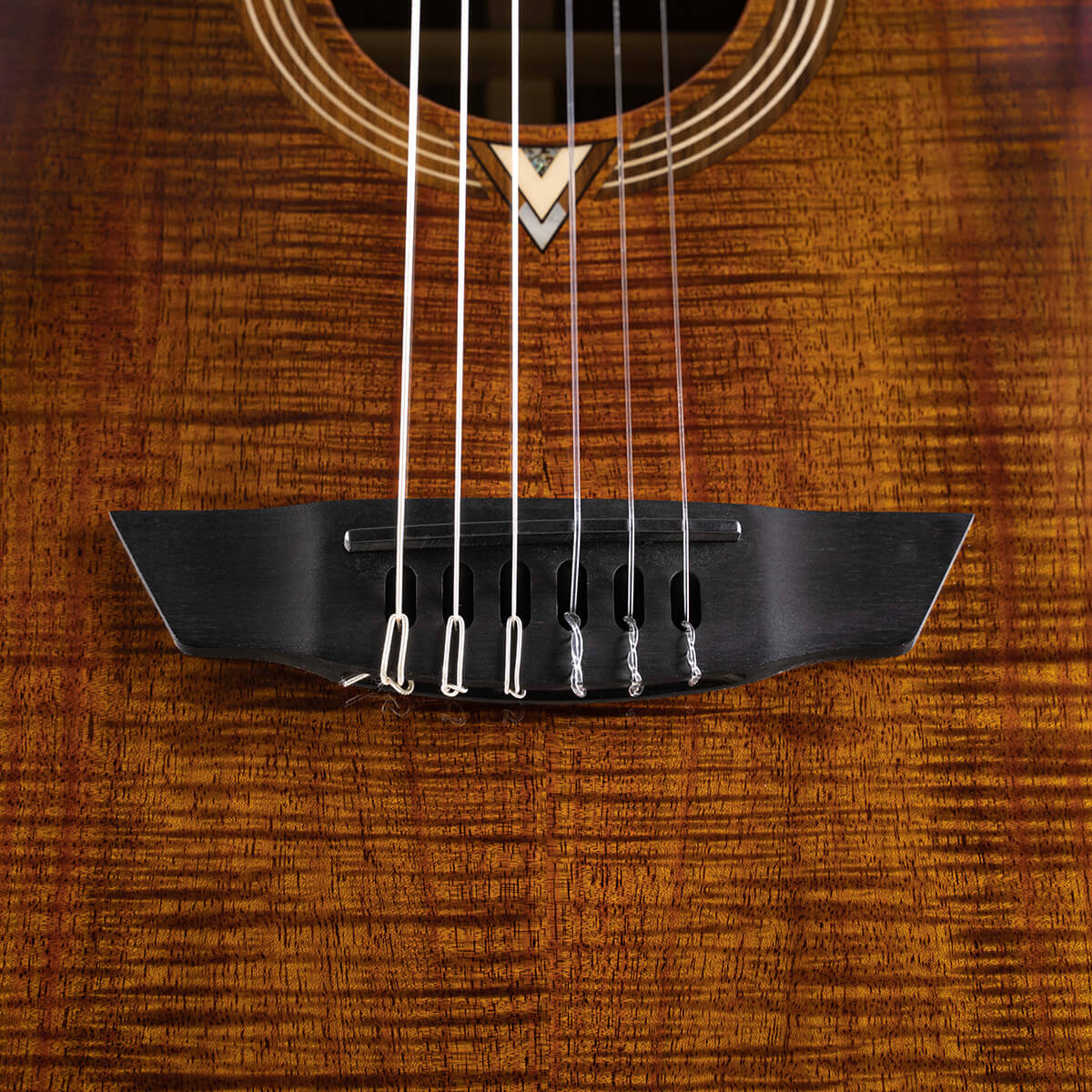 Đàn Guitar Classic Cort Luxe Nylon Frank Gambale Signature