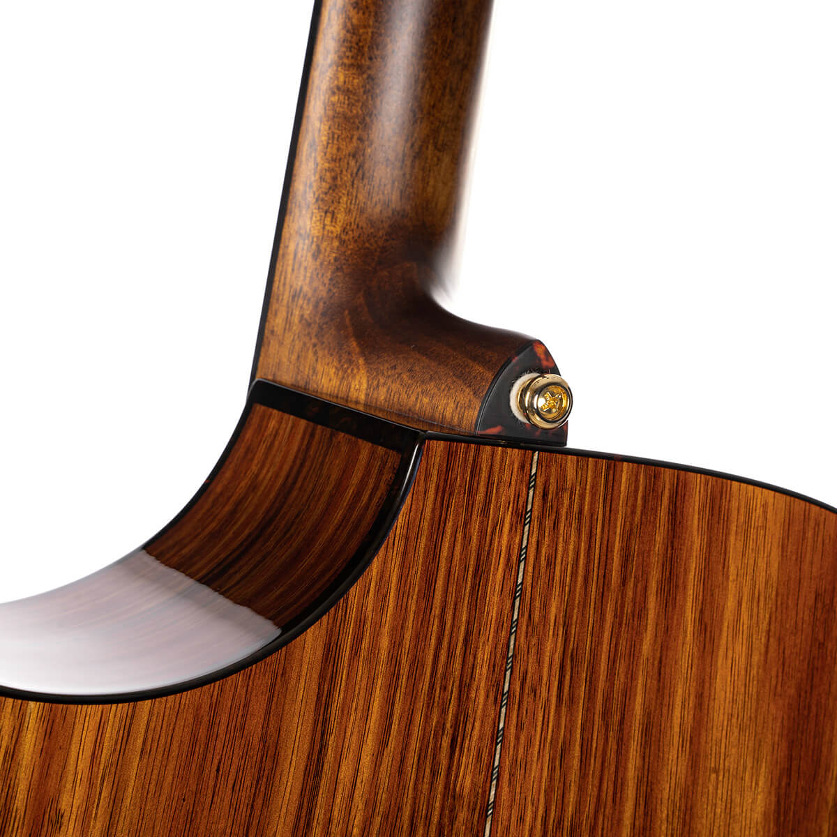 Đàn Guitar Classic Cort LUXE Nylon