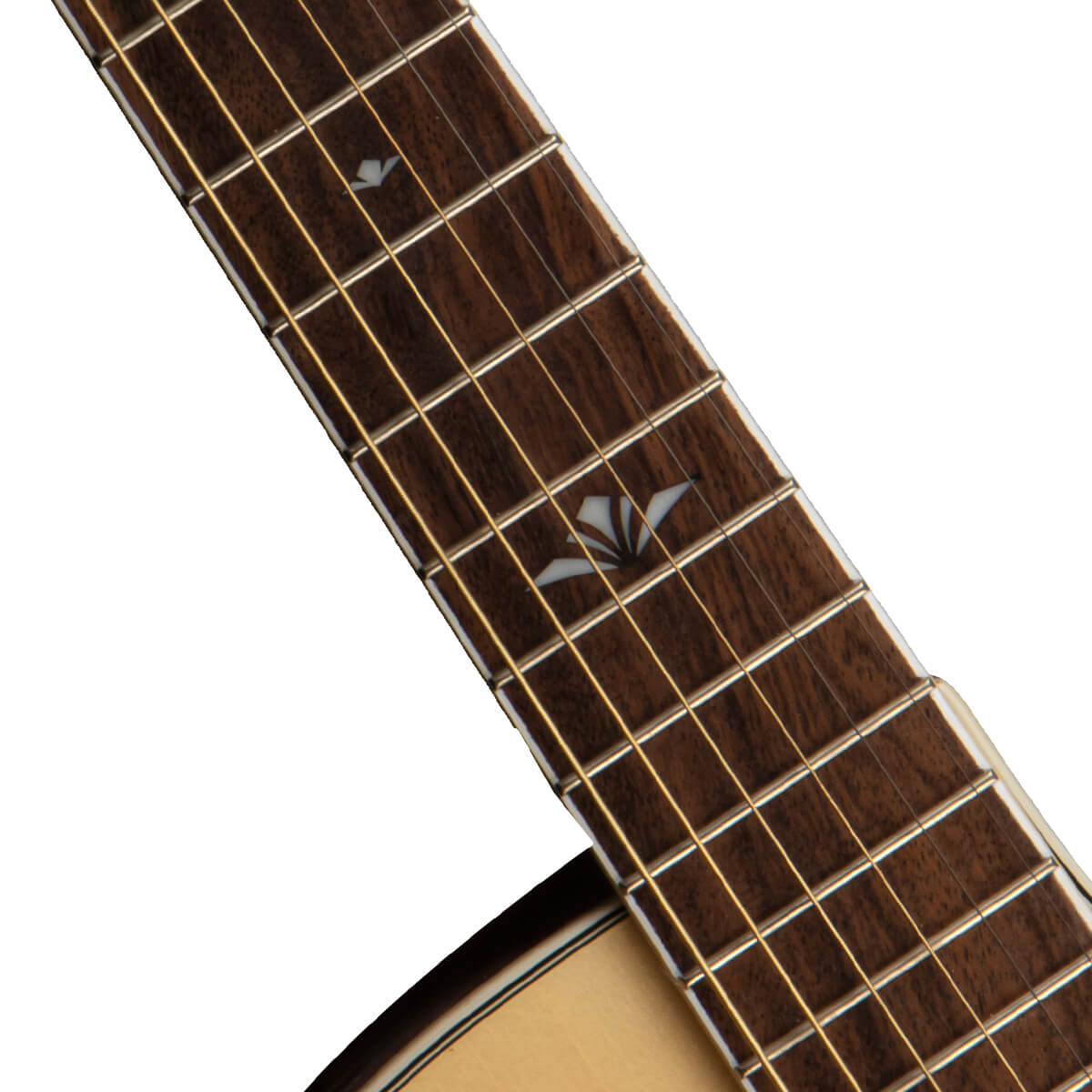 Đàn Guitar Acoustic Cort GA-FF