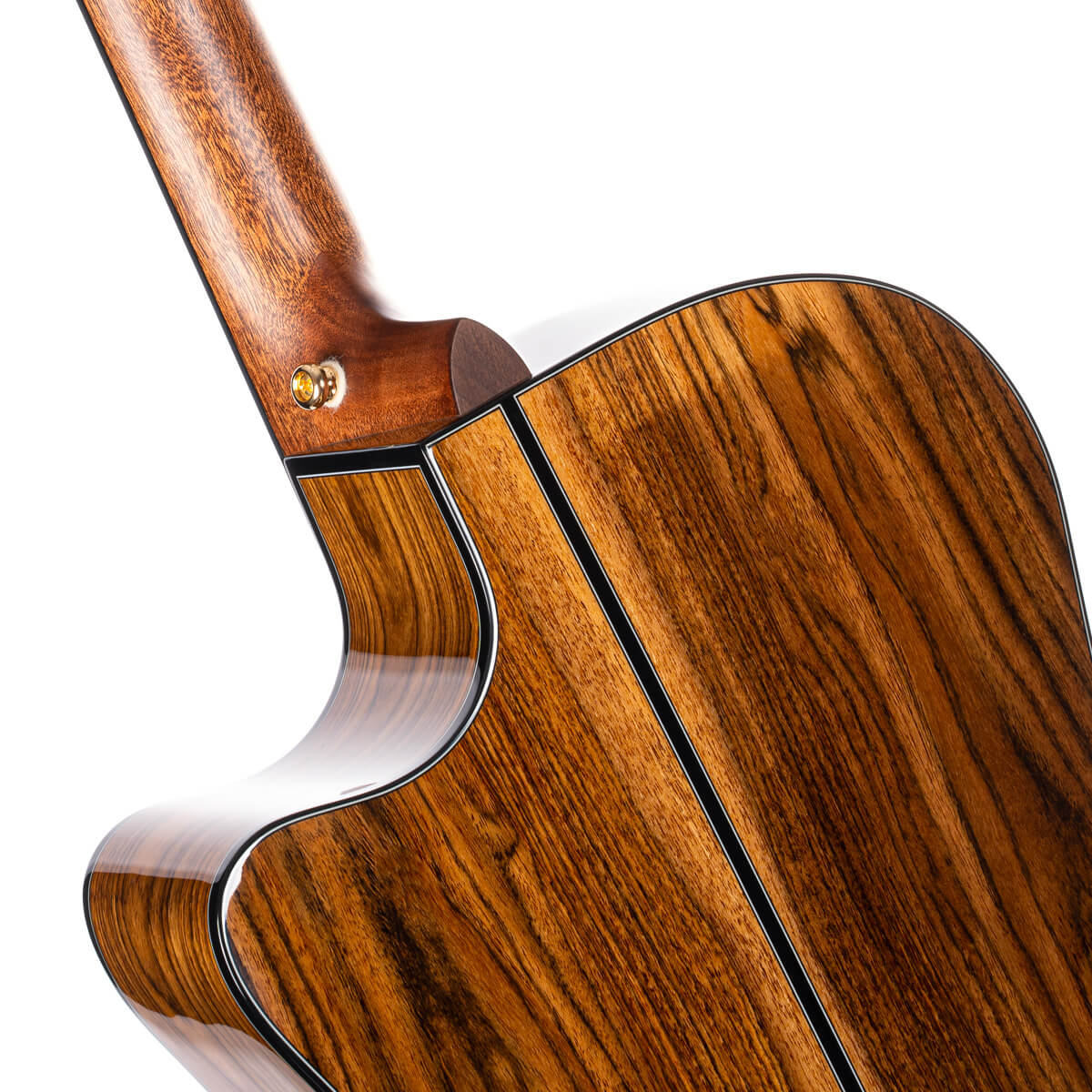 Đàn Guitar Acoustic Cort Gold-A6 Bocote