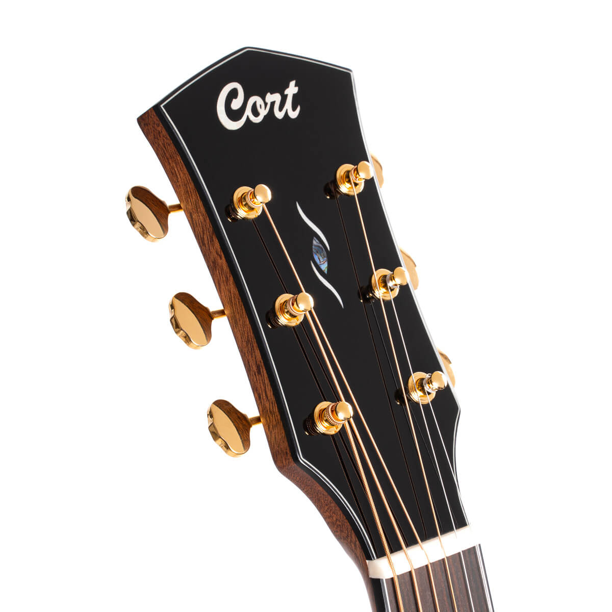 Đàn Guitar Acoustic Cort Gold-A6 Bocote