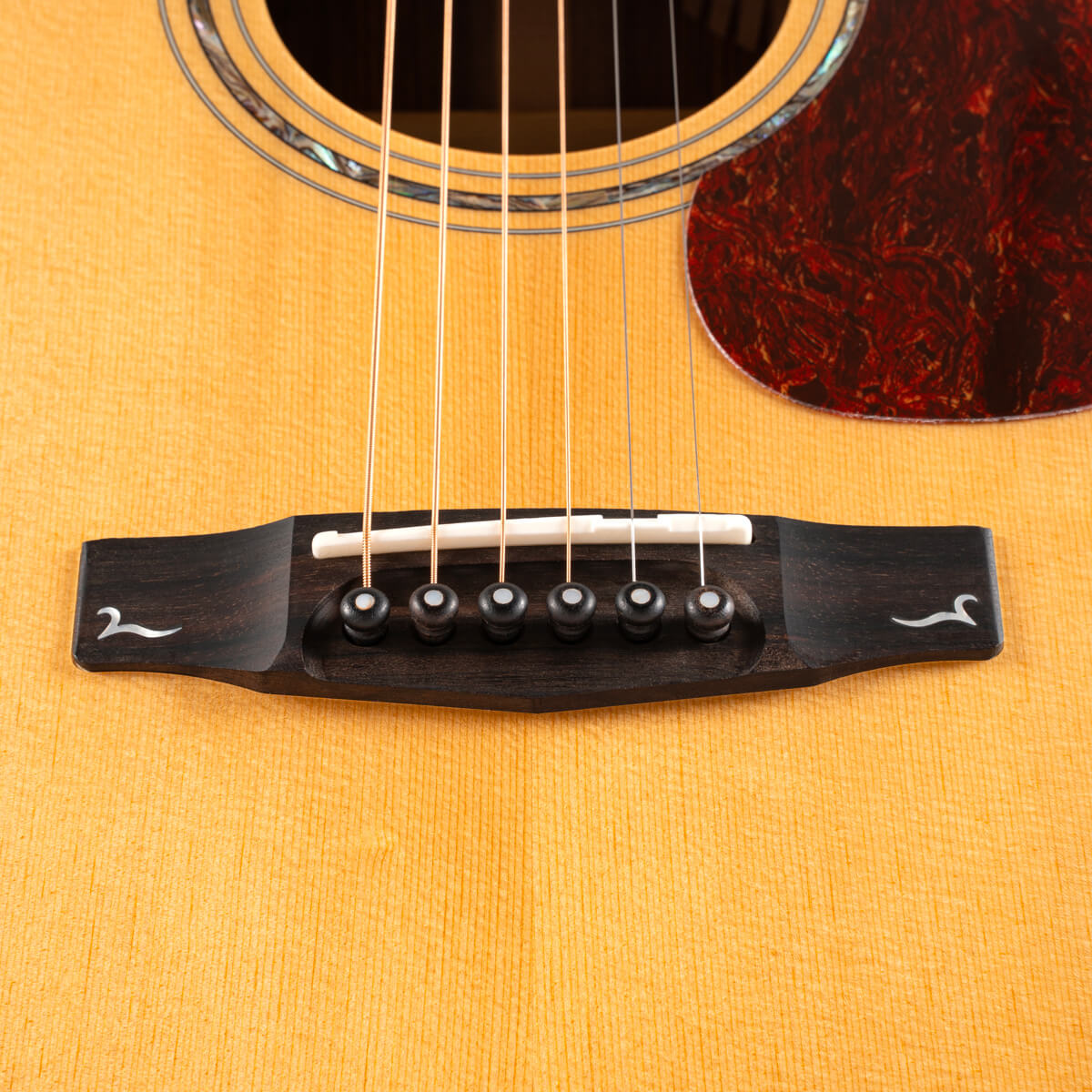 Đàn Guitar Acoustic Cort Gold-A6 Bocote