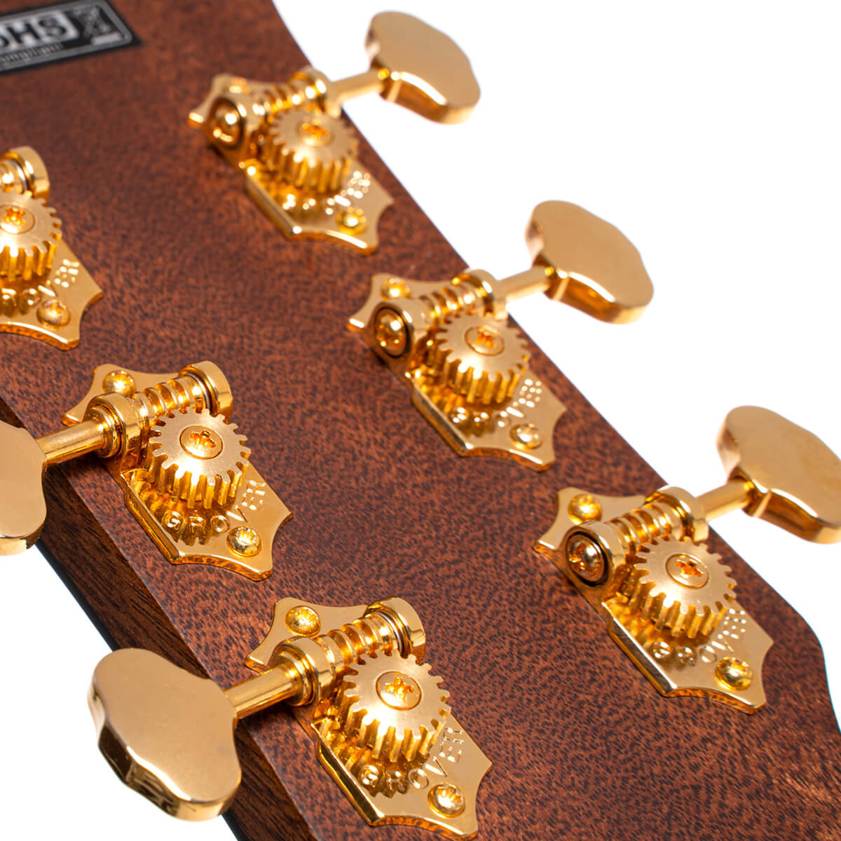 Đàn Guitar Acoustic Cort Gold-A6 Bocote