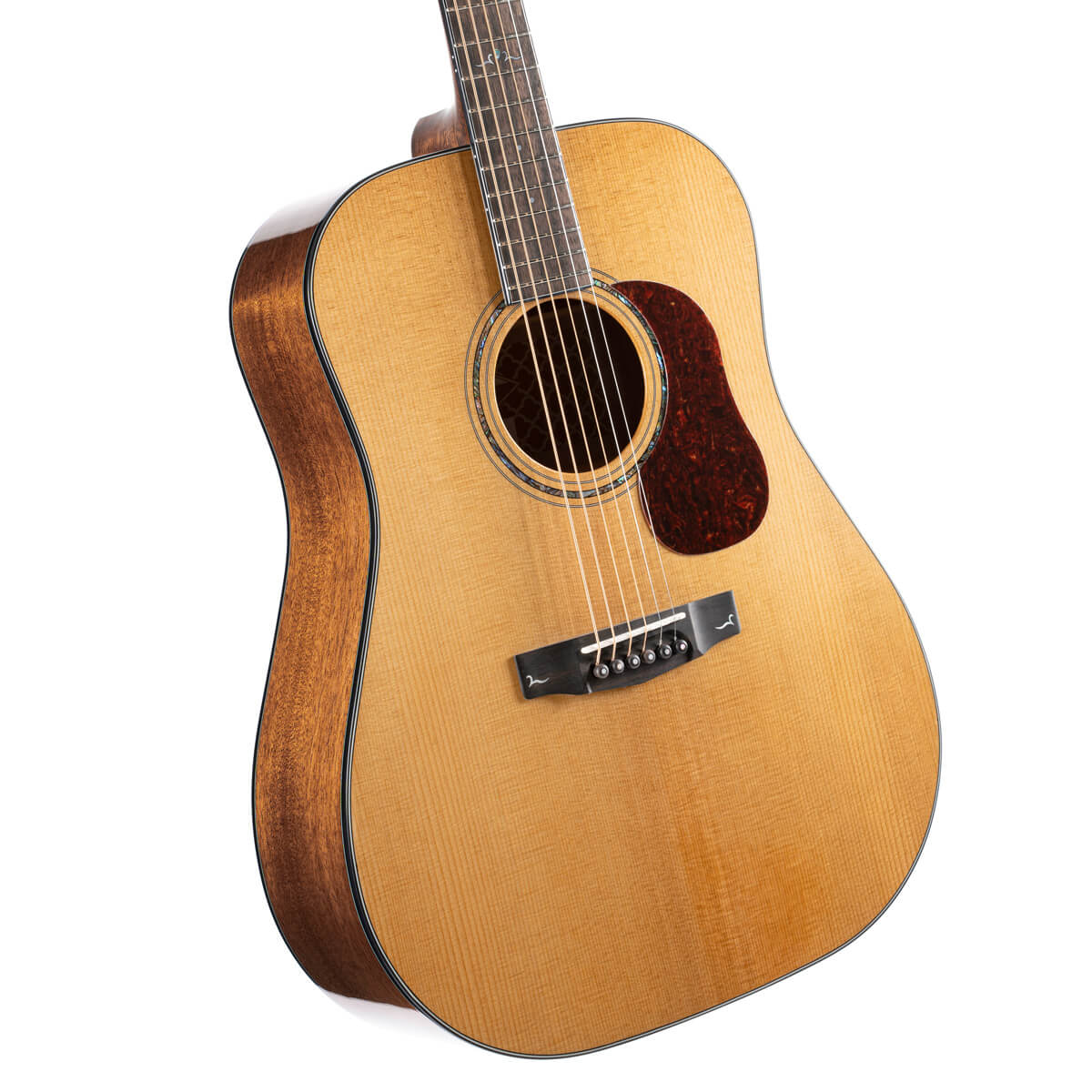 Đàn Guitar Acoustic Cort Gold-D6