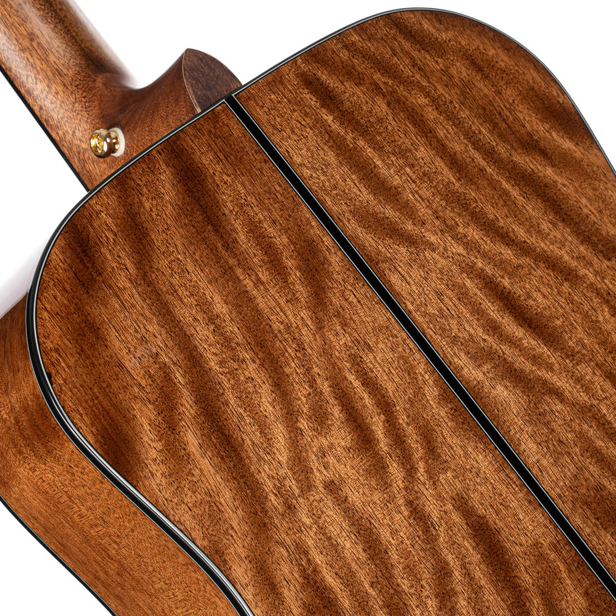 Đàn Guitar Acoustic Cort Gold-D6