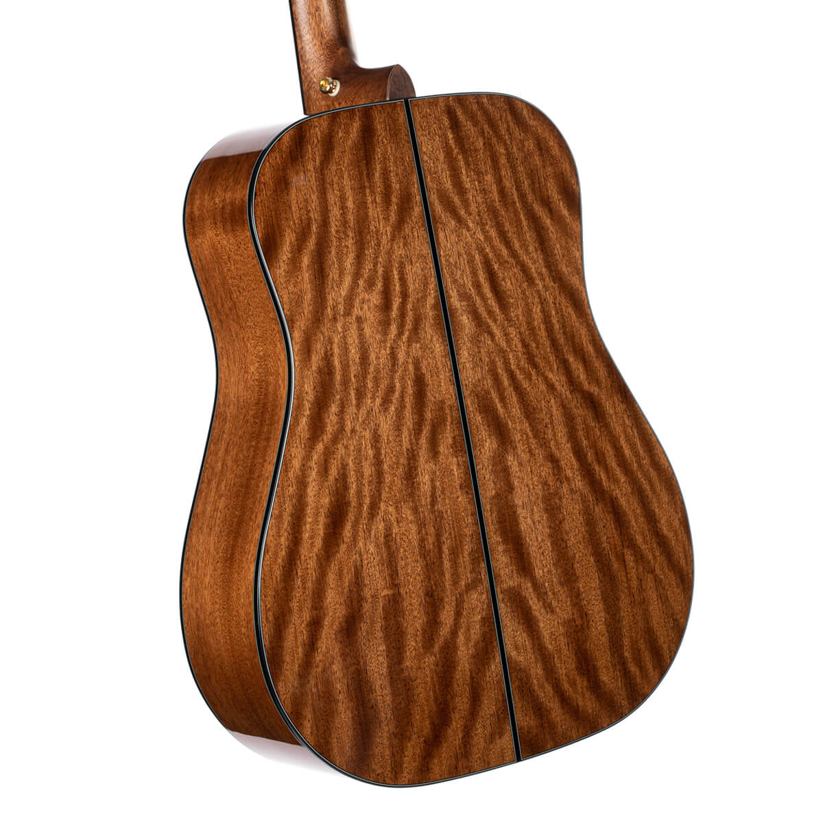 Đàn Guitar Acoustic Cort Gold-D6