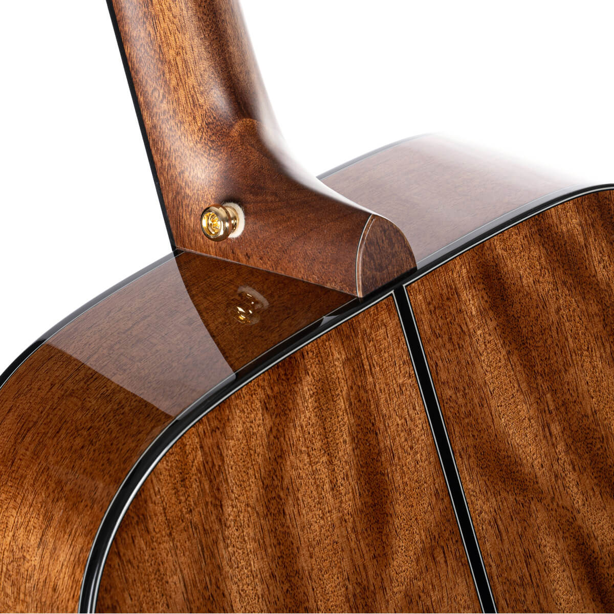 Đàn Guitar Acoustic Cort Gold-D6