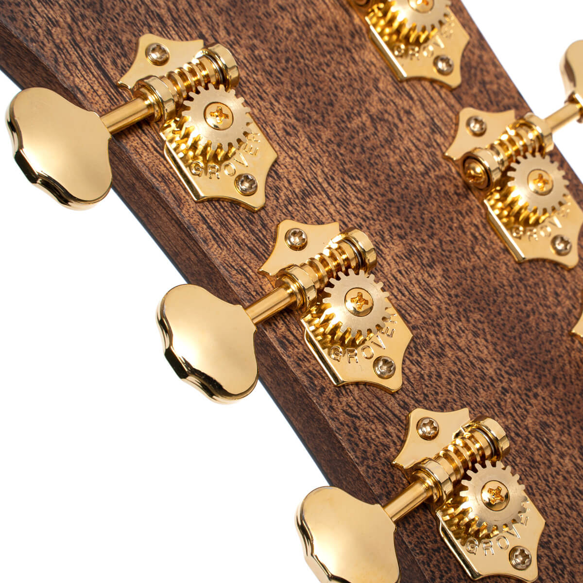 Đàn Guitar Acoustic Cort Gold-D6