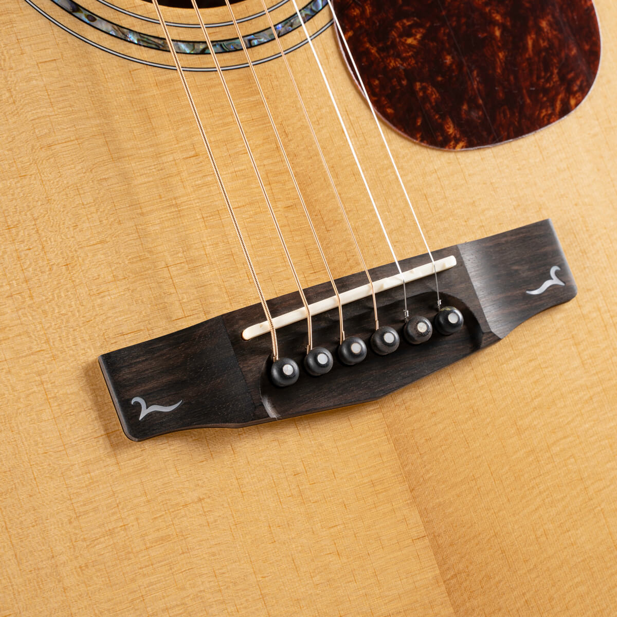 Đàn Guitar Acoustic Cort Gold-D8, Natural Gloss