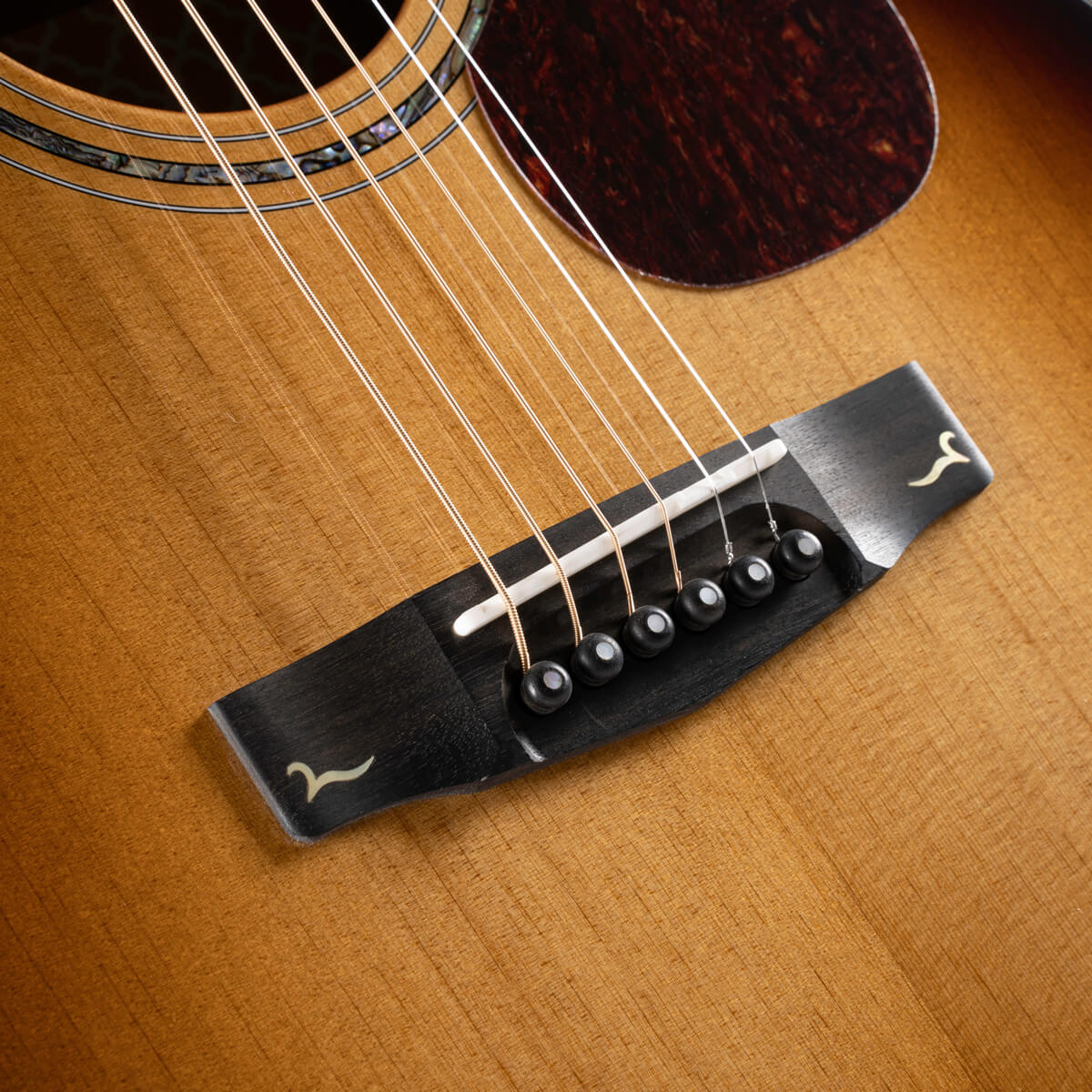 Đàn Guitar Acoustic Cort Gold-D8, Light Burst