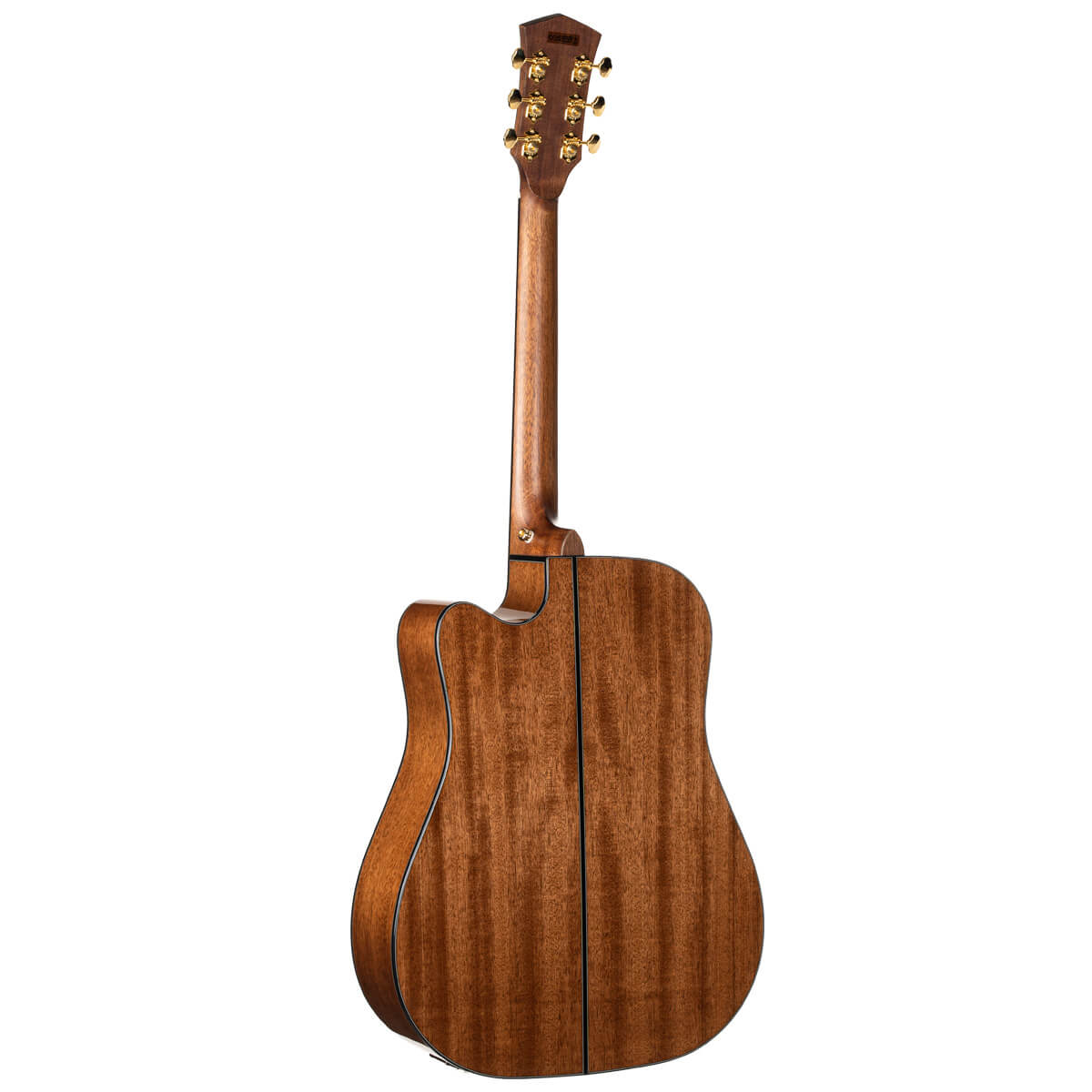 Đàn Guitar Acoustic Cort Gold-DC6
