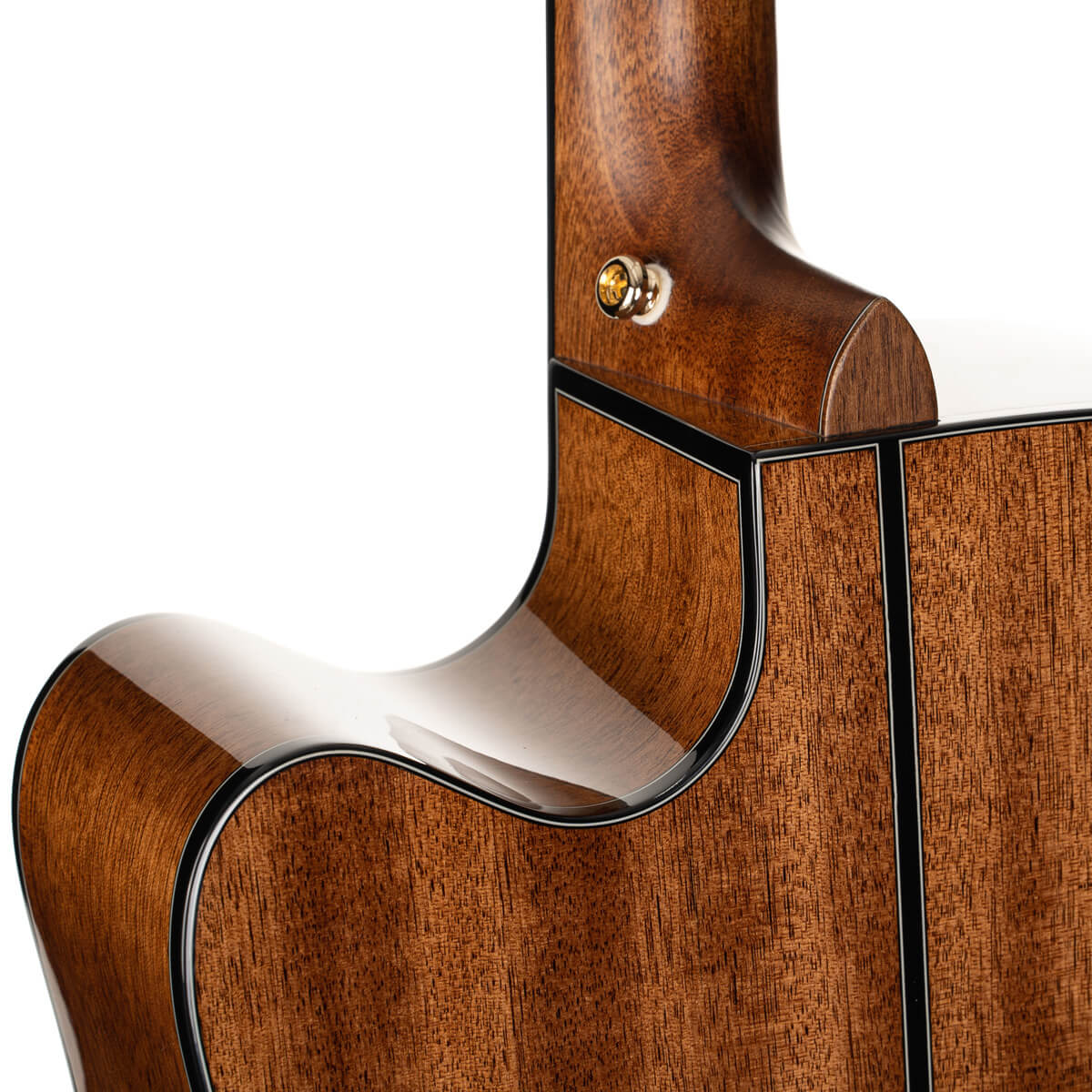 Đàn Guitar Acoustic Cort Gold-DC6