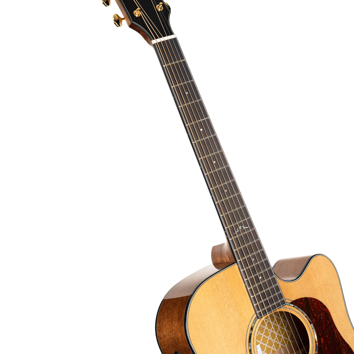 Đàn Guitar Acoustic Cort Gold-DC6