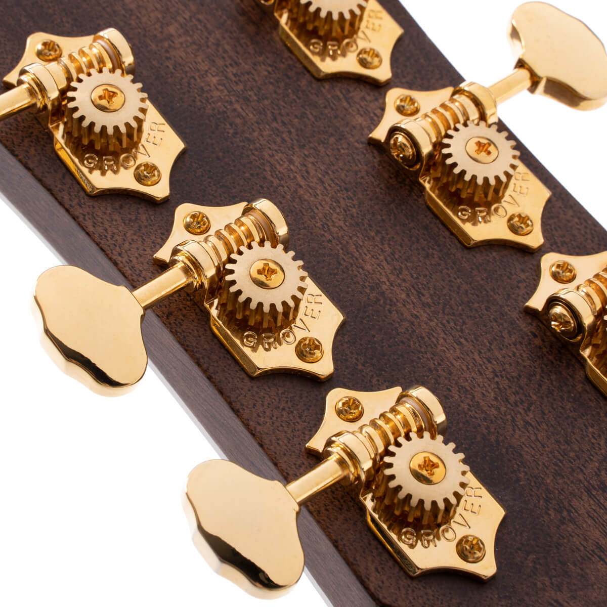 Đàn Guitar Acoustic Cort Gold-OC8