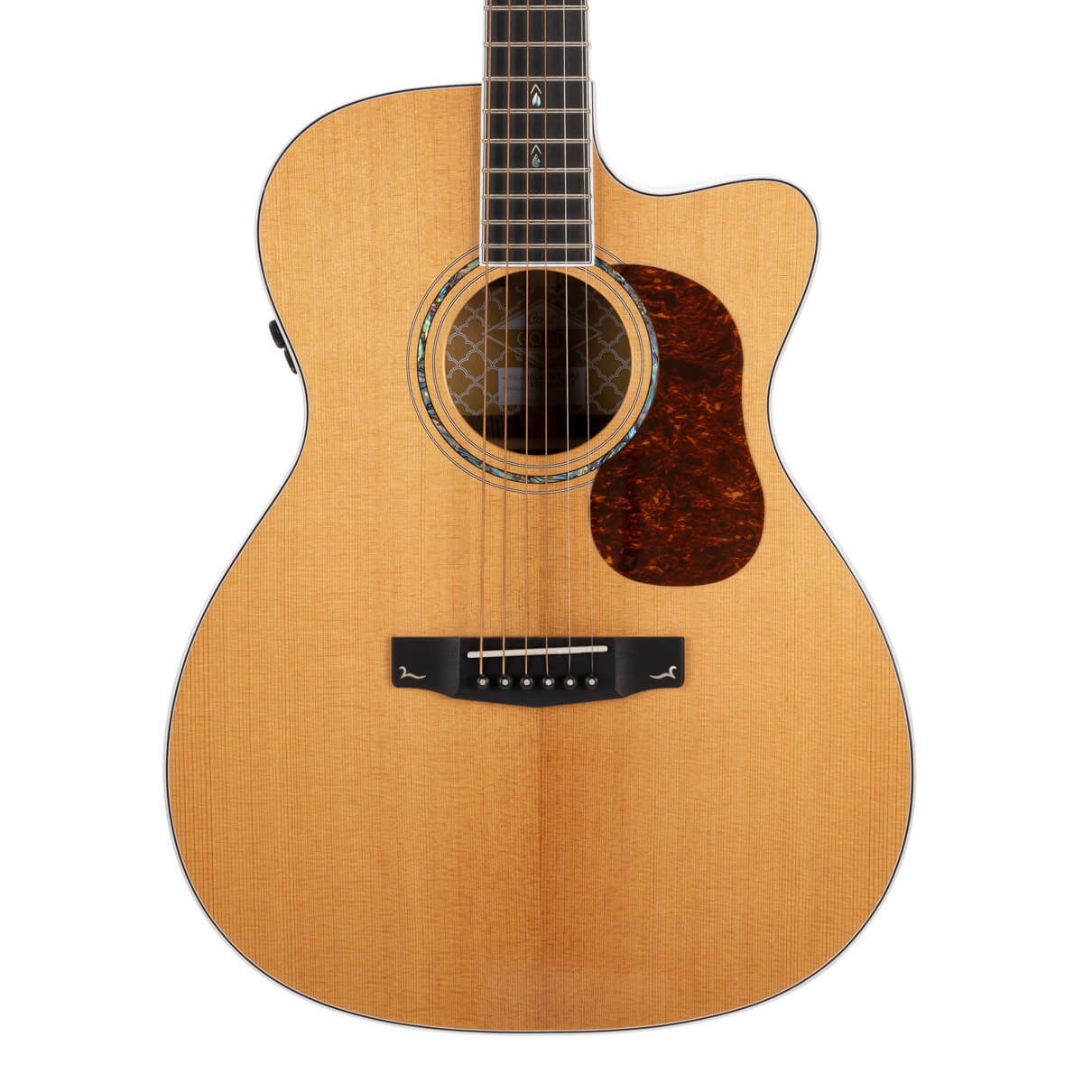 Đàn Guitar Acoustic Cort Gold-OC8