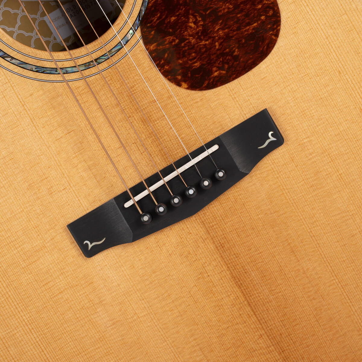 Đàn Guitar Acoustic Cort Gold-OC8