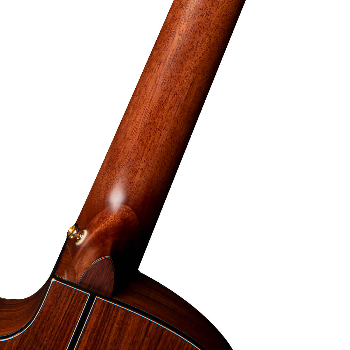 Đàn Guitar Classic Cort Gold-OC8 Nylon