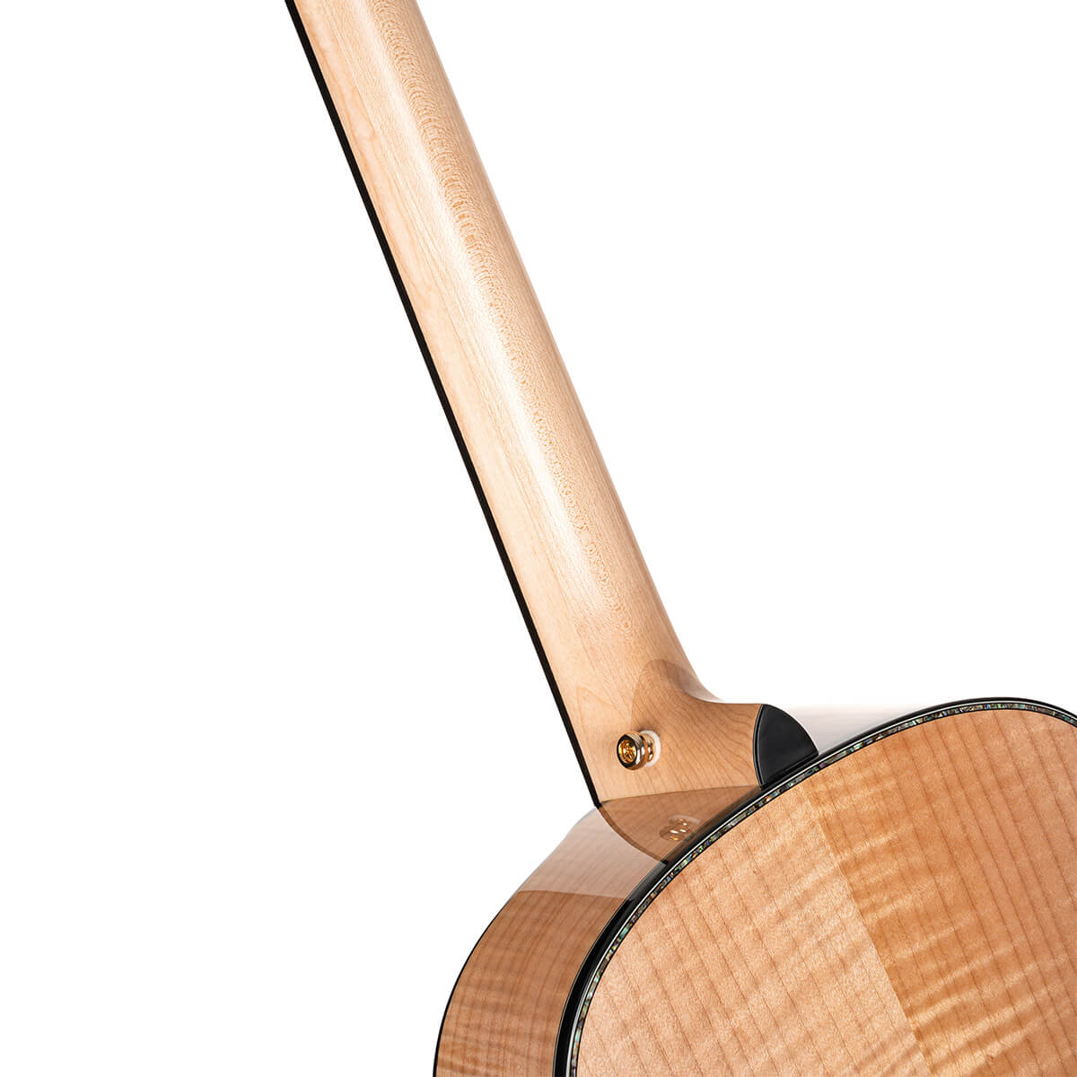 Đàn Guitar Acoustic Cort Gold-Passion