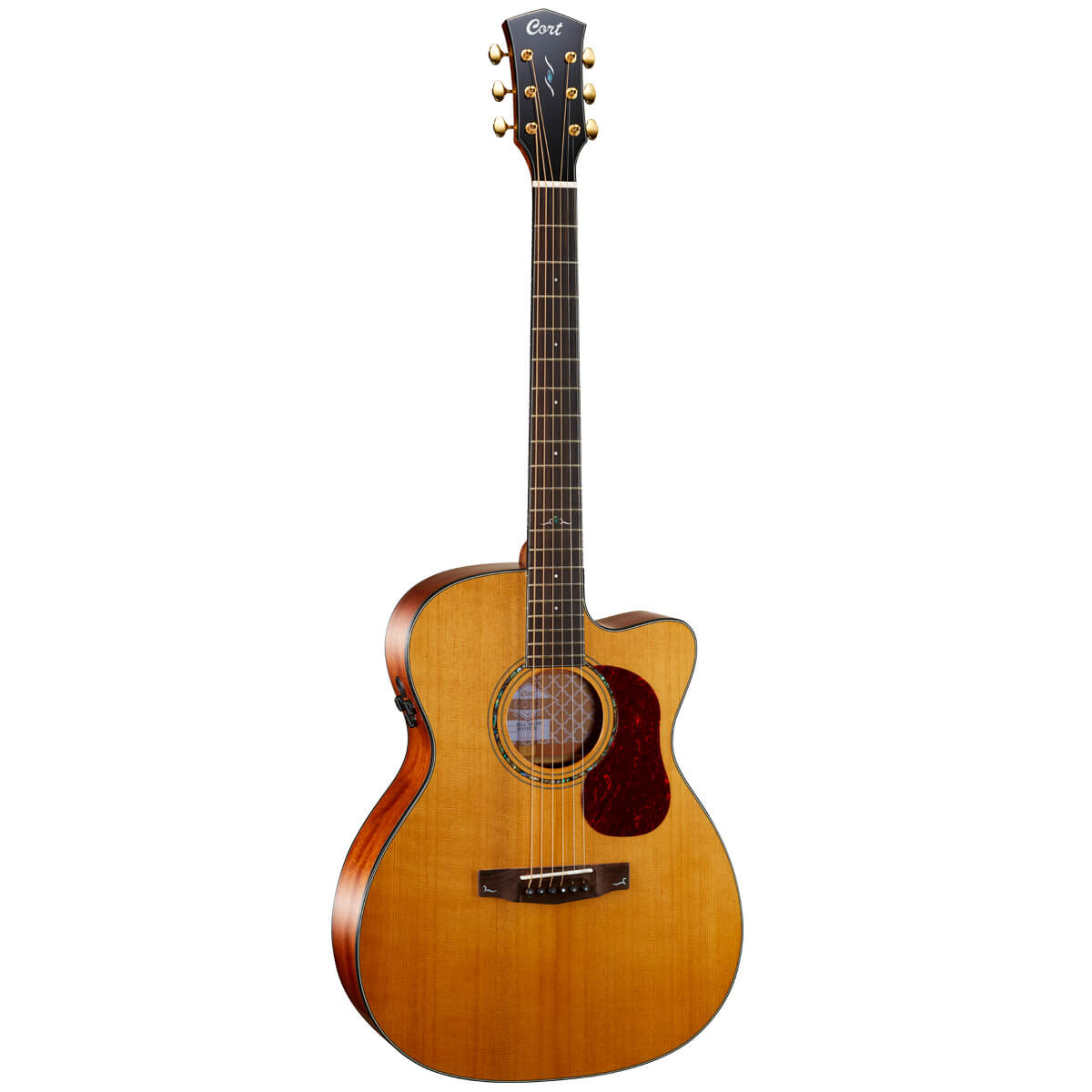 Đàn Guitar Acoustic Cort Gold-OC6